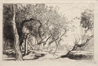 Det snoede træ af Auguste Louis Lepère