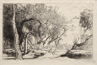 Det snoede træ, 1915. af Auguste Louis Lepère