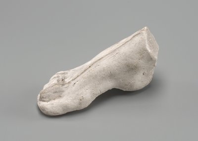 Højre fod, muligvis 1880. af Auguste Rodin