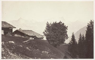 Savoie 47, Le Buet and the Rocks of Fis af Auguste Rosalie Bisson