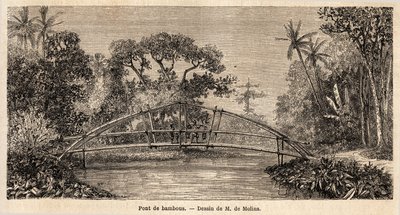 En bambusbro i junglen nær Salak-bjerget. Tegning af M. de Molins, for at illustrere hans rejse til Java af Auguste de Molins