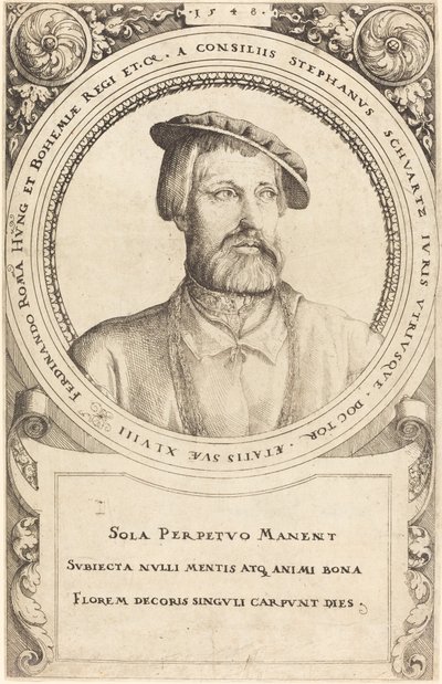 Doktor Stephen Schwartz, 1548. af Augustin Hirschvogel