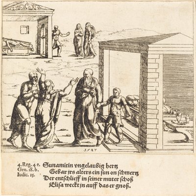 Elisha opdrager Sunemmitens søn, 1547. af Augustin Hirschvogel