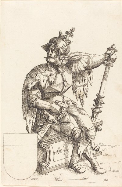 Kejser Karl V af Augustin Hirschvogel
