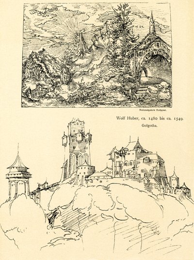 Naturstudie af Augustin Hirschvogel