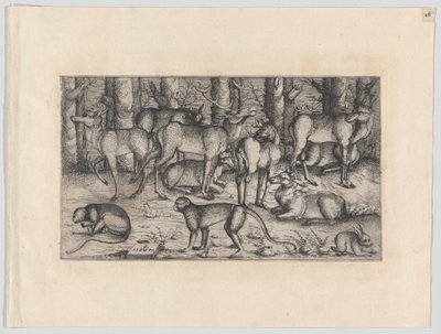 Hjorte i skoven, 1545. af Augustin Hirschvogel