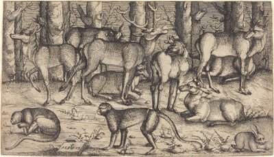 Hjorte i skoven, 1545. af Augustin Hirschvogel