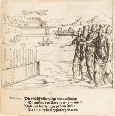 Opblomstringen af Aarons Stang. af Augustin Hirschvogel