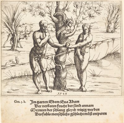 Menneskets fald, 1548. af Augustin Hirschvogel