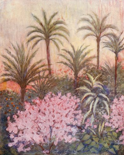 En palmelund i Murcia (farvelitografi) af Augustine Fitzgerald