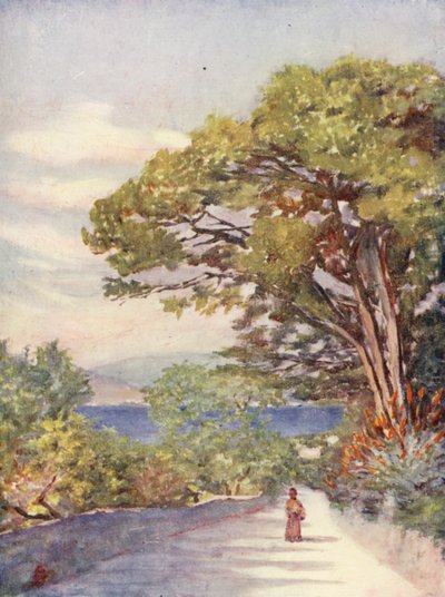 En vej i Gibraltar (farvelitografi) af Augustine Fitzgerald