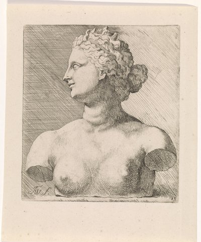 Buste af Venus de