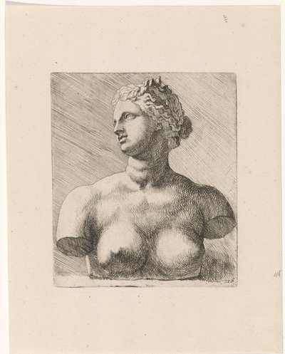 Buste af Venus de