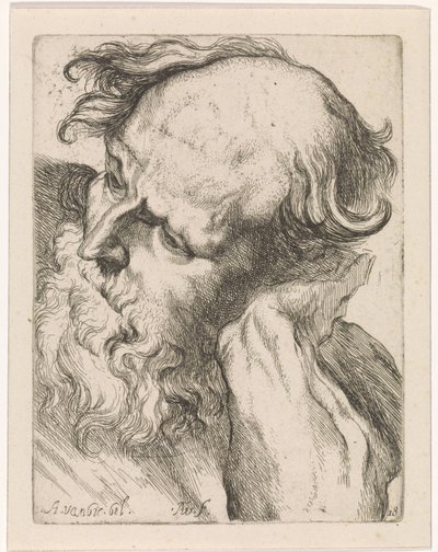 Hovedet af en gammel mand (Joseph) Studier til en tegnebog efter klassiske skulpturer og figurer af Anthony van Dyck (serietitel) af Augustinus Terwesten (I)