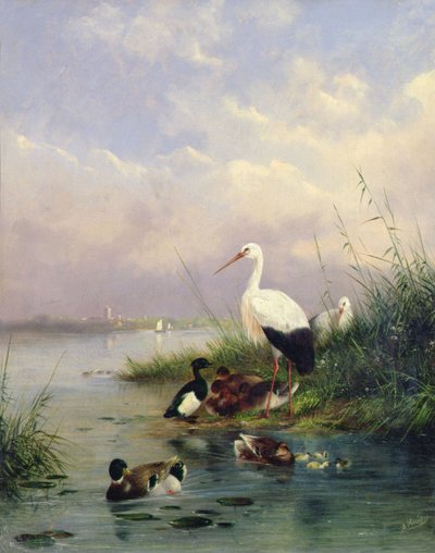 En familie bestående af gråænder, to storke og en familie af tufteænder (par 77886) af Augustus Knip