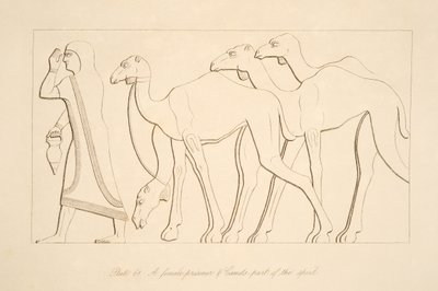 En kvindelig fange og kamel, illustration fra Monuments of Nineveh, 1849 af Austen Henry Layard