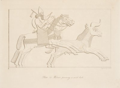 Kriger, der forfølger en vild tyr, fra Monuments of Nineveh, pub. 1849 af Austen Henry Layard