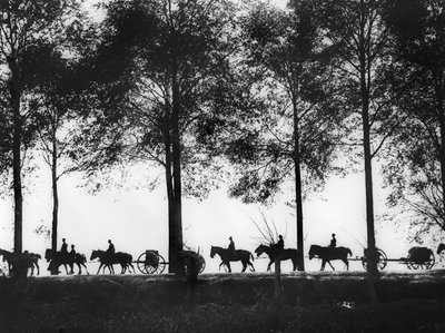 En visning, i silhuet, af australske artilleri-lemmer lastet med ammunition, der fortsætter langs Ypres Road, 25. september 1917 af Australian Photographer