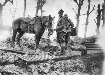 En artillerihest brugt til at transportere ammunition til kanonerne og dens uidentificerede australske fører på en duckboard-bane mellem Mametz og Montauban, december 1916 af Australian Photographer
