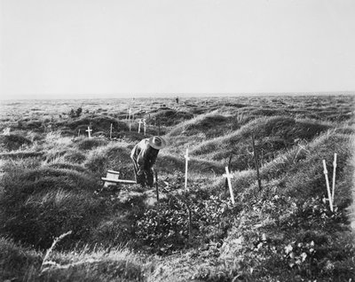 Udsigt over spredte australske grave langs OG1-linjen på slagmarken Pozieres, 16. september 1917 af Australian Photographer