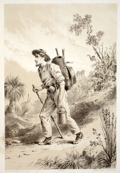 Digger on the Tramp, fra The History of Australasia af David Blair, McGrady, Thomson og Niven, 1879 af Australian School