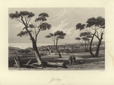Geelong af Australian School