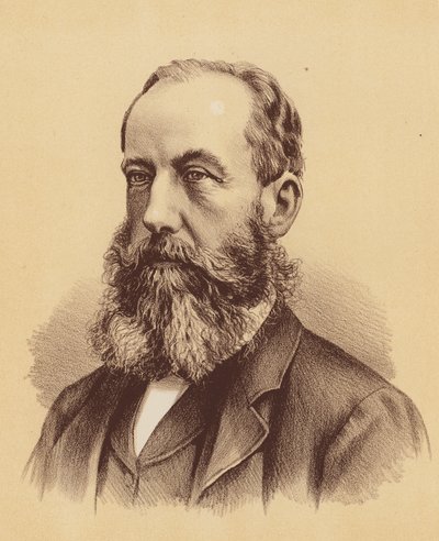 Den ærede Stephen C Brown, Esquire (farvelitografi) af Australian School