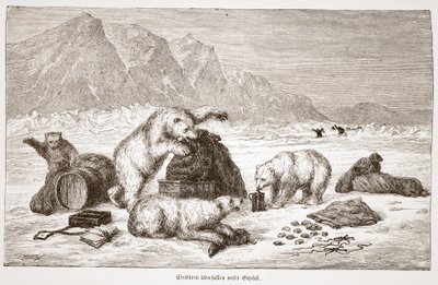 Isbjørne angriber vores bagagepub. Wien 1876 (gravering) af Austrian School