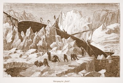 Hansas forlis, 1876 af Austrian School