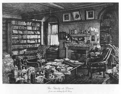 The Study at Down, pub. 1882 (gravering) af Axel (after) Haig