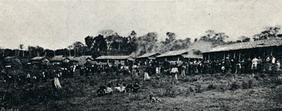 Italiensk koloni Fazenda Arindiuba, 1895 af Axel Frick