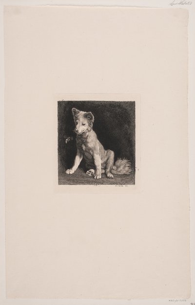 Hunden og bien af Axel Helsted