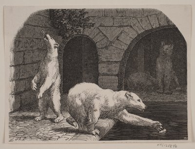 Bjørne i Jardin des Plantes af Axel Theodor Kittendorff
