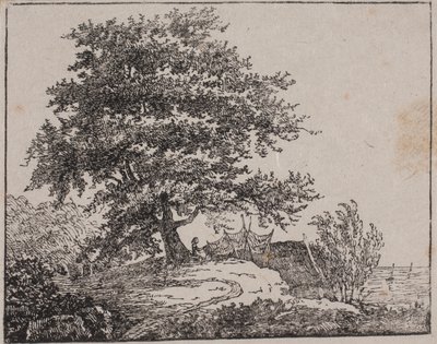 Træ på en skrænt ved havet af Axel Theodor Kittendorff