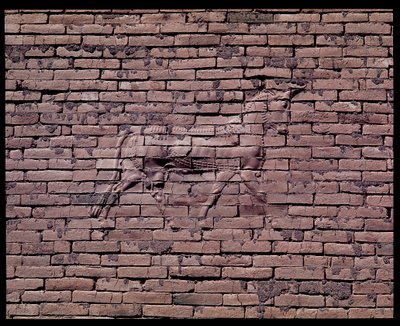 Detalje af en tyr, relief af Ishtar-porten, 580 f.Kr af Babylonian