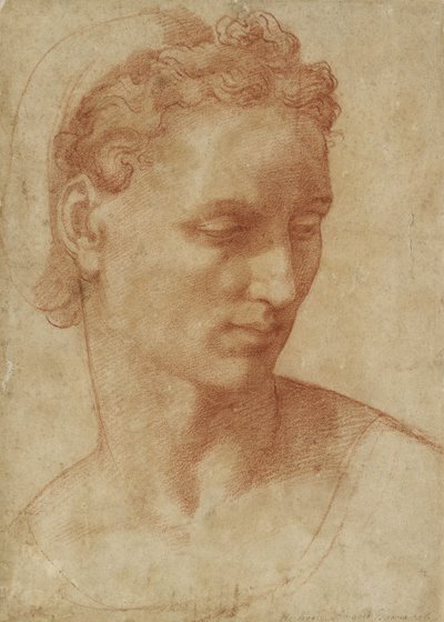 Head of a Woman (kridt på papir) af Baccio Bandinelli