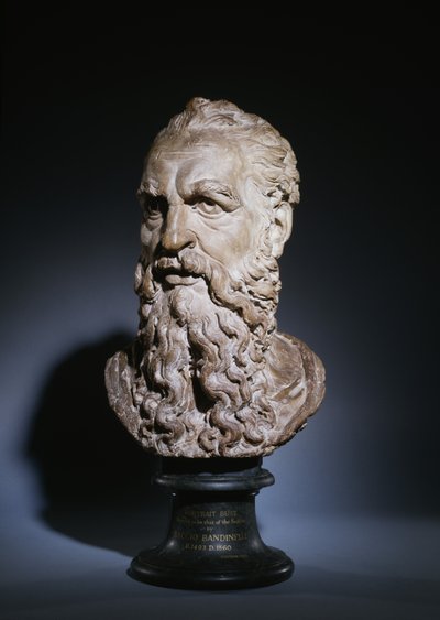 Studie af Saint Pauls hoved, ca. 1535 (terracotta) af Baccio Bandinelli