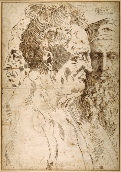 Tre mandlige hoveder sidestillet (pen & brunt blæk og sort kridt på papir) af Baccio Bandinelli