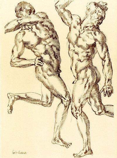To mandlige nøgenstudier af Baccio Bandinelli