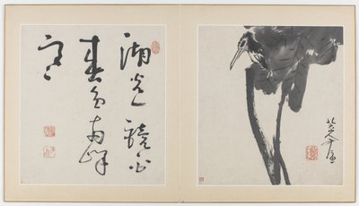 Sider fra et album med blomster, fugle, insekter og fisk, Qing-dynastiet, 1688-89 (blæk på papir) af Bada Shanren