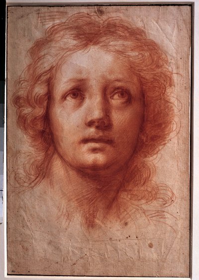 Studie af en kvindes hoved, det faste blik vender opad Tegning i blæk og vask af Franceschini Baldassare dit il Volterrano (1611-1689). 17. århundrede. Svag. 0,42x0,28m. Paris, Louvre-museet af Baldassare  Franceschini