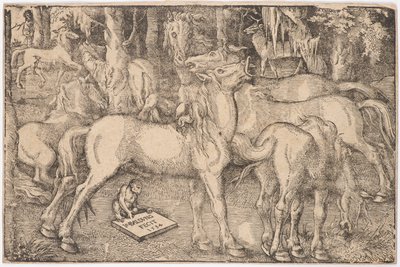 Gruppe af syv heste, 1534. af Baldung