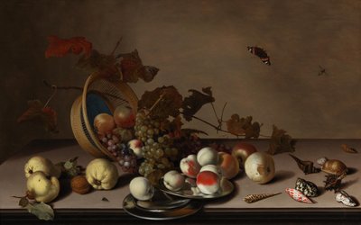 Frugtstilleben med flettet kurv, muslinger og sommerfugl, første halvdel af 1600-tallet. af Balthasar van der Ast