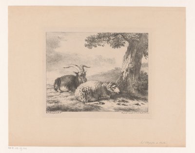 ged og får af Balthasar Paul Ommeganck