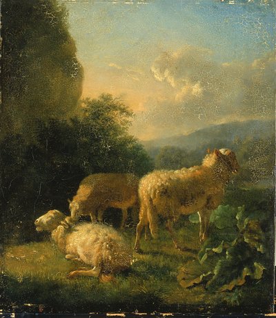 Får af Balthasar Paul Ommeganck