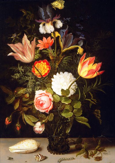Stilleben af blomster i en Roemer med to skaller af Balthasar van der Ast
