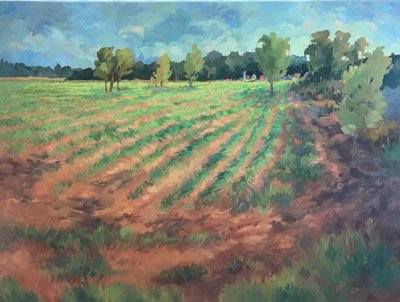 Early Morning, ca. 1980-2000 (olie på lærred) af Barbara Cleary