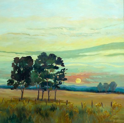 Sunrise, 2007 (olie på lærred) af Barbara Cleary