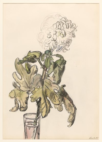Blomstrende krysantemum i en vase af Barbara Elisabeth van Houten