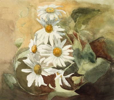 Tusindfryd (akvarel på vævet papir) af Barbara Leigh Smith Bodichon